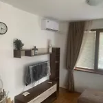 в Belvedere